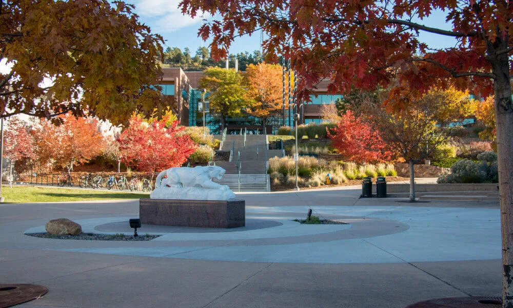 The UCCS mountain lion during autumn.